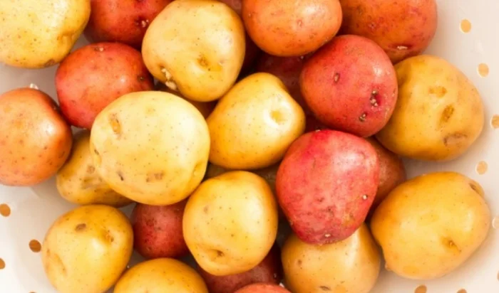 Five Common Foods That Can Be Deadly