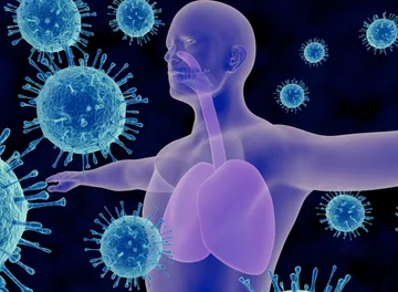 How long does your immunity last after David-19? Experts Reveal How Long You Stay Safe