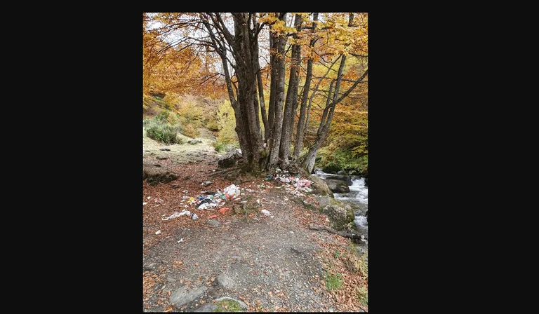Kosovars at war against their land: That's what they do to the Sharr Mountains.