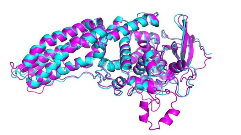 Artificial intelligence solves one of the great mysteries of biology: Revolution in Science