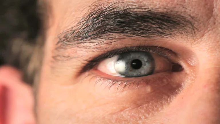 All Causes for the Eye to Trembling