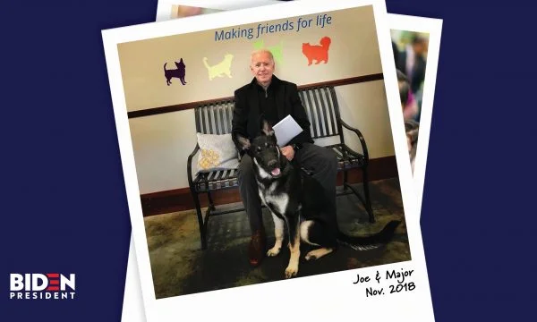 Joe Biden wants medical help, twisted his ankle playing with his dog.