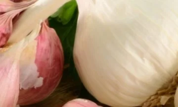 Was passiert mit Ihrem Körper, wenn Sie Knoblauch und leeren Magenhonig für 7 Tage essen