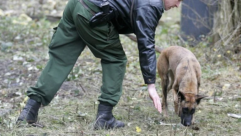 Schwerer Fall: Berliner Polizei verhaftet einen Kanonismus verdächtigt nach der Suche nach Opferresten