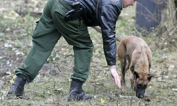 La policía de Berlín encuentra restos humanos en el parque, presuntamente comidos por un caníbal