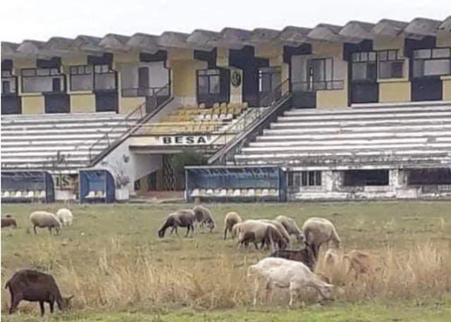 Esto también sucede: Seep graze en el campo, estadio del equipo albanés en condiciones desesperadas