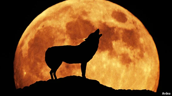 The Full Moon's Influence on Our Health
