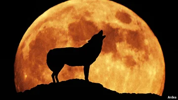 The Full Moon's Influence on Our Health