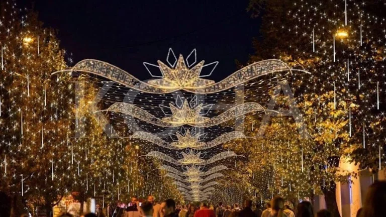 FSHK mayors: As much as decorating holiday cities, invest in health