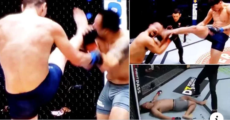The UFC world has been shocked by this brutal knockout from hell last night.