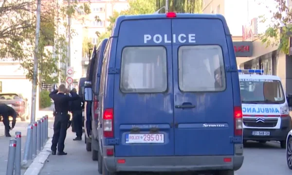 Vienna attack mobilises Kosovo institutions