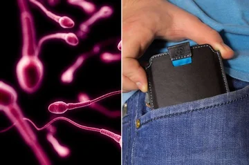 Last study: Wi-Fi damages sperm