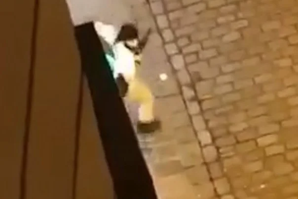 Attaque à Vienne, c'est une vidéo où on voit des Albanais de 20 ans