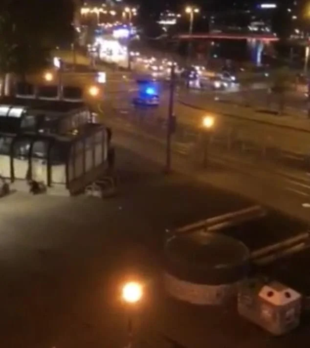 Nuevos detalles del ataque en el centro de Viena (Vídeo)