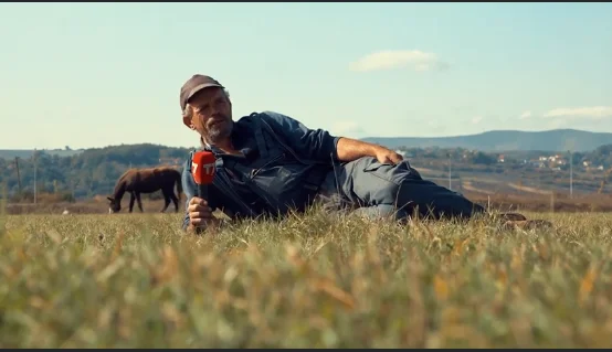 It leaves Germany and comes to Kosovo, says: Better grass than president or prime minister