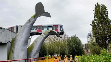 “Shark Beasts” sauver le train de tomber dans l'eau (Photo)