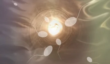 Wie verursacht Wärmeschäden Sperma und männliche Unfruchtbarkeit? Wissenschaftler enthüllen die Antwort