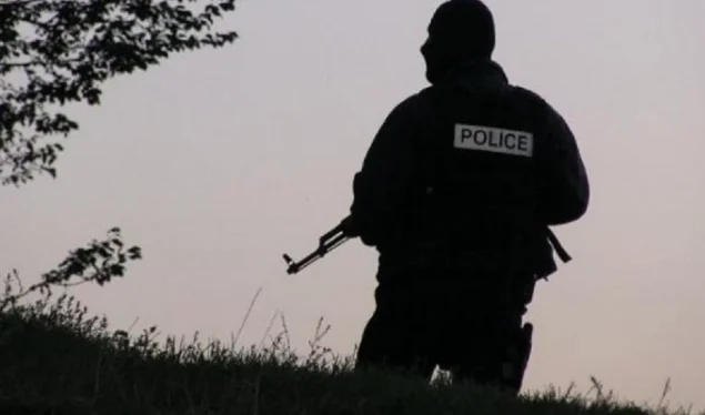Two Serbian citizens illegally crossing the border are banned