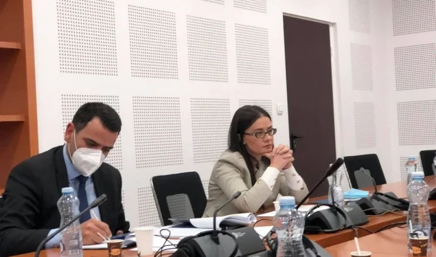 Libéralisation des visas, Pays-Bas a proposé une commission pour que les critères du Kosovo soient respectés