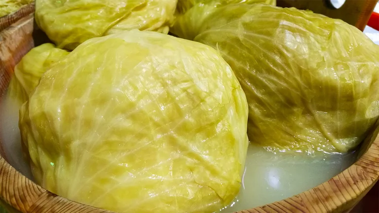 Le chou mariné est l'un des aliments les plus sains, c'est ce qui aide!