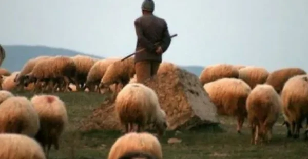 He left Switzerland and returned to Kosovo to do business with sheep