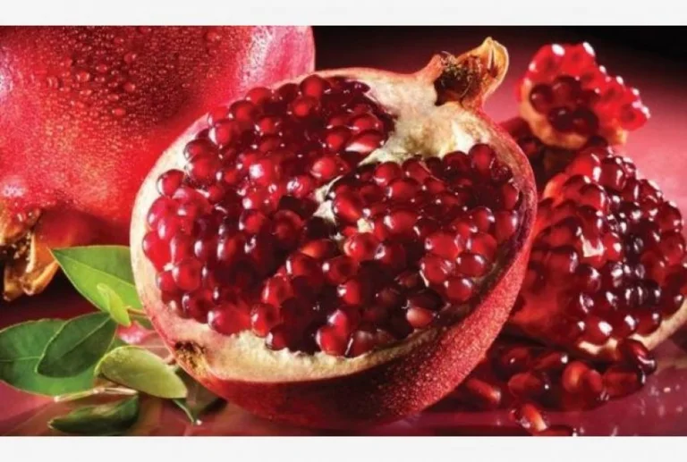 Shega, the fruit that prevents premature aging