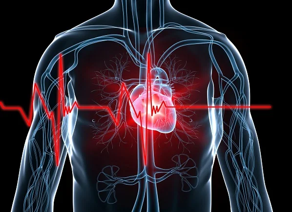 5 shenjat që dërgon trupi juaj kur zemra nuk funksionon mirë