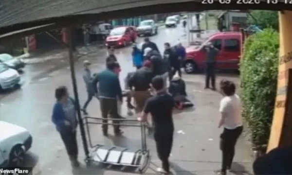 Ecte i lirë në rrugë, pitbulli sulmon 7-vjeçaren