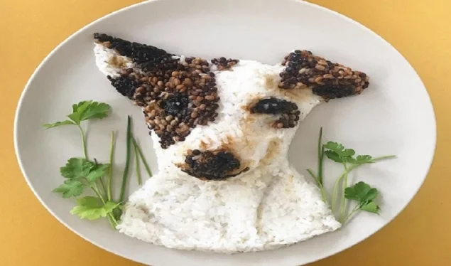 Ju nuk do t’i besoni syve tuaj: Kjo është një drekë