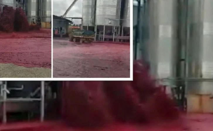 Wine pours river into Spain, see how 50 thousand liters are wasted