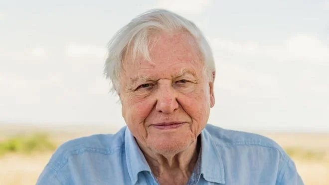 Attenborough, 94 ans, entre à l'Institut pour sauver la planète : 1,8 million d'abonnés pendant plusieurs heures