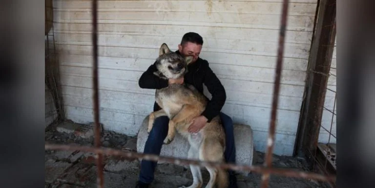 Besides Lake Trump, there is a wolf in Kosovo named after the American president