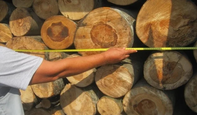 Madera de 55m confiscada en Ferizaj