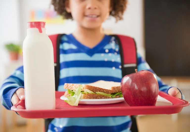 Gli alimenti dovrebbero essere nella borsa