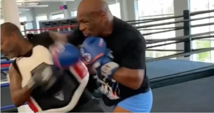 The last video from Tyson's training is just scary: He's almost nominated the coach.