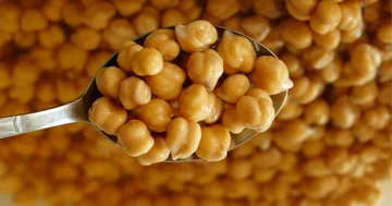 10 cose che succede al tuo corpo se si mangia una camicia di palle ogni giorno