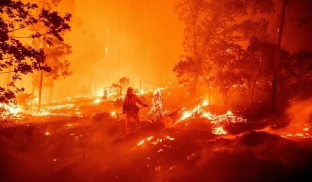 8.000 millas cuadradas [8.000 km2] implicadas en incendios de California