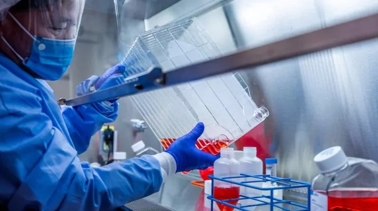 Pacientët me koronavirus kanë 8 herë të ngjarë të pësojnë goditje sesa ata me grip
