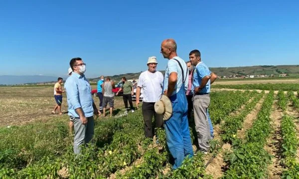 Ministri Mustafa iu premton bujqve kompensime për dëmet që pësuan nga shiu