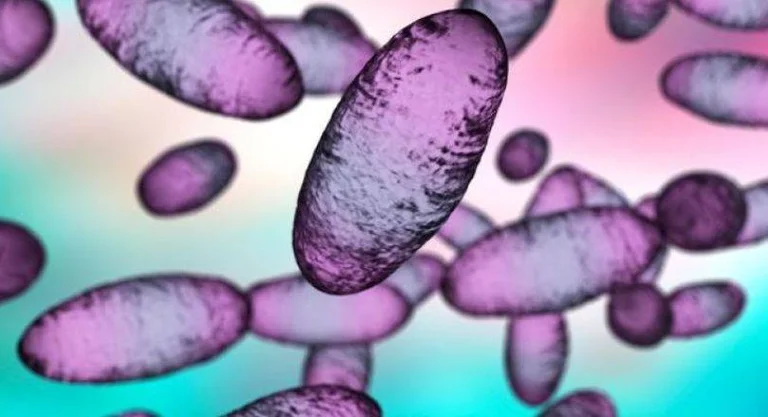 Was ist mit Coronavirus und Pestilence üblich?