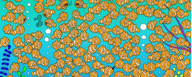 Can you find out where the golden fish is in 30 seconds?