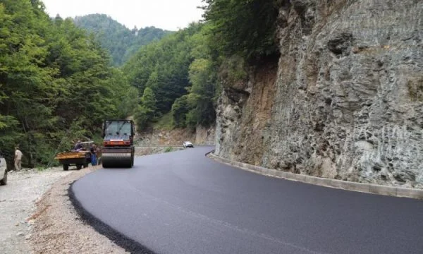 Severe Reactions for Decan'Plava Road