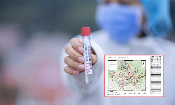 Questi sono comuni con il maggior numero di Coronavirus infetto