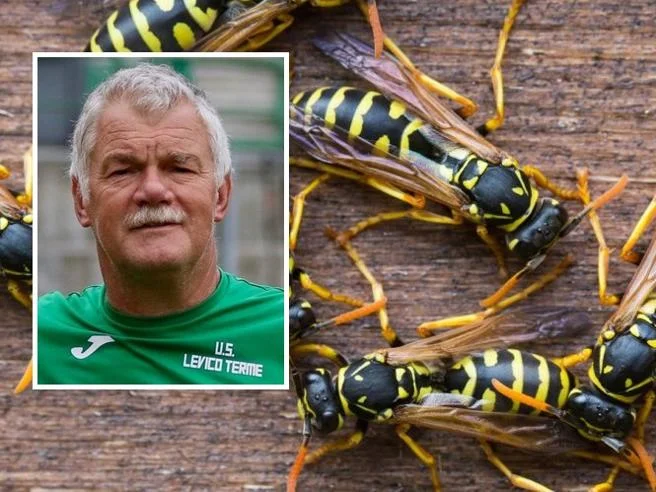 Tragic: Ex-Porter bekannt, stirbt nach biting wasps