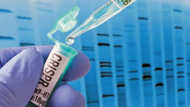 Aujourd'hui, les Kosovars rentrant en Allemagne sont forcés de tester le Coronavirus