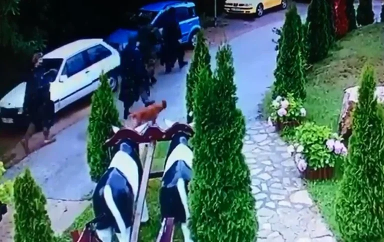 La polizia del Kosovo chiude gli occhi e le orecchie, dice Sovina affronta la gendarmeria serba a Karacheva a Kamenica