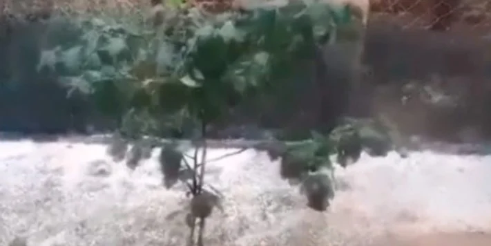 “Zbardhet” toka në Istog: Pamje nga breshëri i madh që ka rënë në qytet