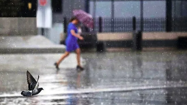 Nga nesër bien temperaturat, pritet shi e shkarkime rrufesh