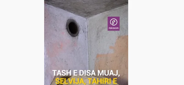 La famille Mehmet vit dans le sous-sol, menacée par des rats serpents