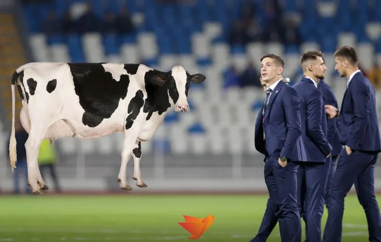 Freedom Kastrati ha scritto la storia con Zagreb Lokomotive: Guarda le mucche prima di diventare un giocatore di calcio